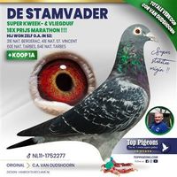 NL11-1752277_Duiflayout_CorvanOudshoorn_AuctionItem